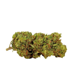 Herba di Berna Watermelon CBD Blüten Outdoor – Bild 2