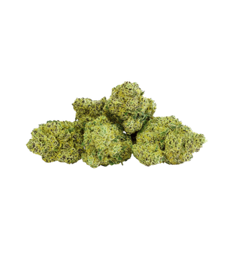 Local Weed Blue Gelato CBD Flowers Indoor – image 2
