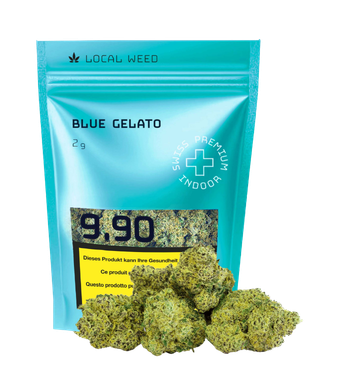 Local Weed Blue Gelato CBD Flowers Indoor – image 3
