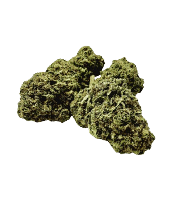 Paradise Weeds Forbidden Fruit CBD Flowers Indoor – image 2