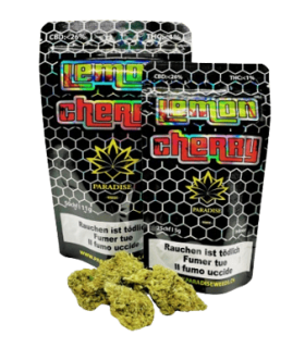 Paradise Weeds Lemon Cherry CBD Flower Indoor 1