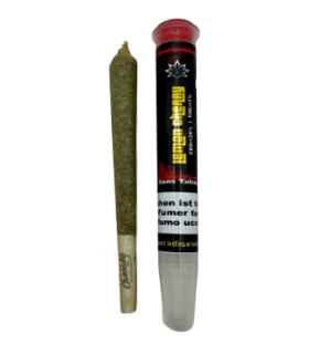 Paradise Weeds Lemon Cherry Pre-Roll CBD Joint Indoor 1