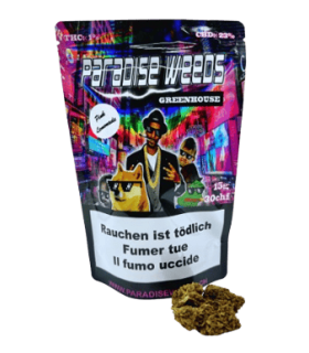 Paradise Weeds Critical CBD Flower Greenhouse 1