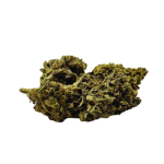 Critical Fleurs de CBD Greenhouse