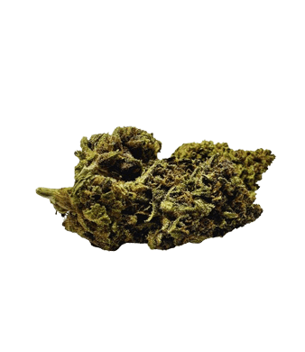 Critical Fleurs de CBD Greenhouse