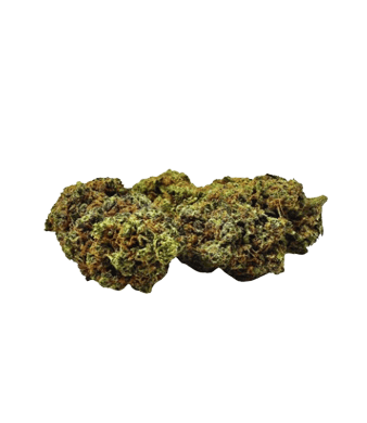 Paradise Weeds Platinum Kush CBD Flowers Indoor – image 2