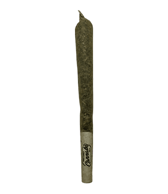 Paradise Weeds Platinum Kush Fertig Gedrehte CBD Joints Indoor – Bild 2
