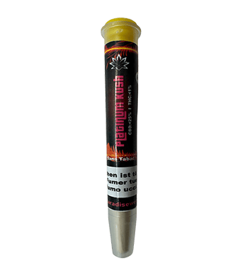 Paradise Weeds Platinum Kush Fertig Gedrehte CBD Joints Indoor – Bild 3