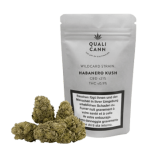Qualicann Habanero Kush CBD Flowers Indoor