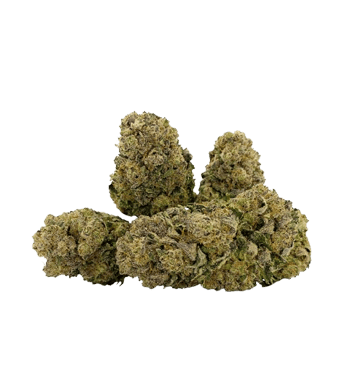 Qualicann Habanero Kush CBD Blüten Indoor – Bild 2