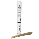 Qualicann Sweet Star Joint CBD Pré-Roulé avec Filtre à Charbon Actif