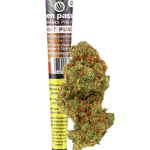 Green Passion Fruit Punch Vorgedrehter CBD-Joint Indoor