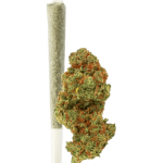 Green Passion Fruit Punch Vorgedrehter CBD-Joint Indoor – Bild 2