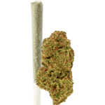 Green Passion Maui Wowy Pre-Rolled CBD Joint Indoor – image 2