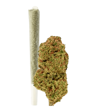 Green Passion Maui Wowy Vorgedrehter CBD-Joint Indoor – Bild 2
