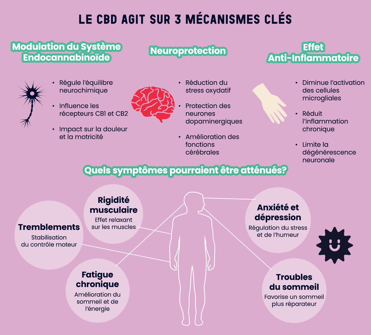 Infographie illustrant les trois mécanismes d'action du CBD sur la maladie de Parkinson : modulation du système endocannabinoïde, neuroprotection et effet anti-inflammatoire, ainsi que les symptômes potentiellement atténués tels que les tremblements, la rigidité musculaire, la fatigue chronique, l'anxiété, la dépression et les troubles du sommeil.