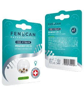 fenocan fenojoy cbd seeds uweed shop 1