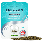Fenocan Fenojoy CBD Samen Feminisiert – Bild 2