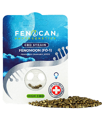 Fenocan Fenomoon CBD Samen Feminisiert – Bild 2