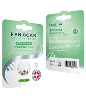 Fenocan Fenopure CBG Seeds 1