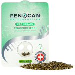 Fenocan Fenopure CBG Seeds Feminized – image 2