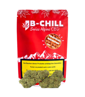 B-Chill Tropical Diamond CBD Flower Indoor 1