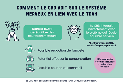 Illustration de l’action du CBD sur le cerveau et les symptômes potentiels du TDAH