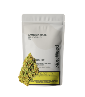 Slow Weed Amnesia Haze CBD Flower Greenhouse 1