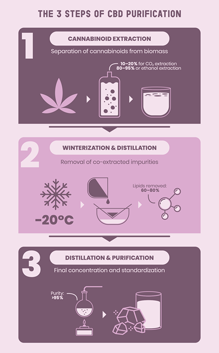Infographic showing 3 CBD purification steps: extraction, cleaning and final pharma-grade purification