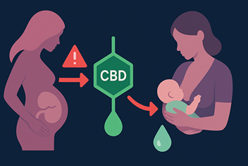 CBD-Verbotssymbol mit Babybauch und Stillmotiv – Prinzip Vorsicht