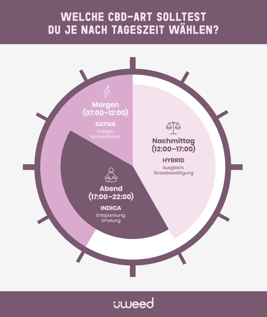 Visuelle Uhr zeigt, wann Sativa, Indica oder Hybrid-CBD ideal für Tageszeit und Aktivität geeignet ist.