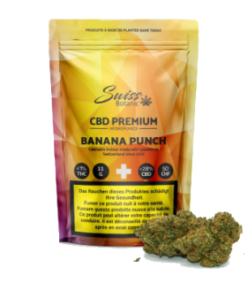Swiss Botanic Banana Punch CBD Flower Indoor 1