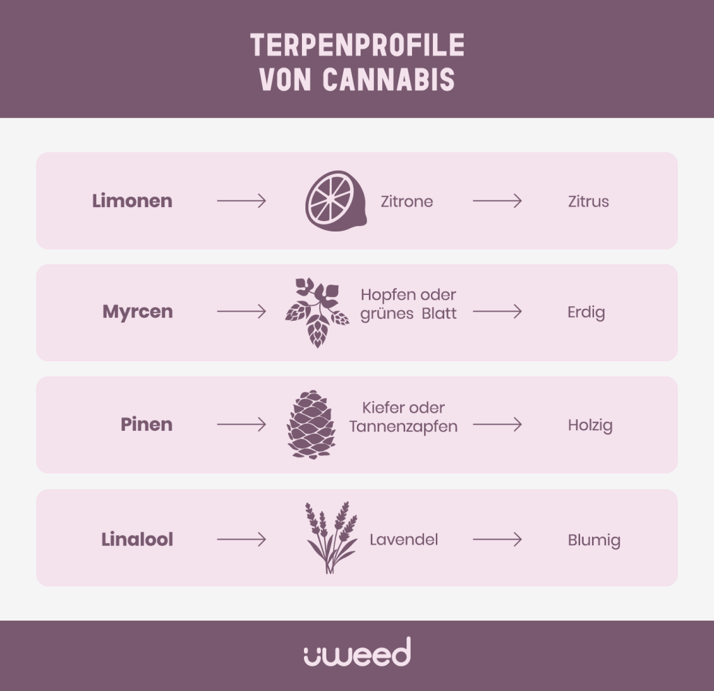 Terpenprofil von Cannabis: Limonen, Myrcen, Pinol und Linalool mit natürlichen Aromen und Quellen.