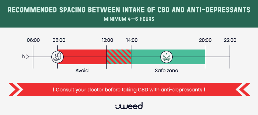 Safe timing schedule between CBD and antidepressant intake showing recommended windows