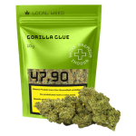 Local Weed Gorilla Glue CBD Flowers Indoor