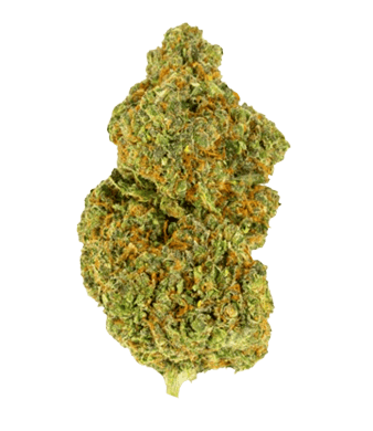 Green Passion Gorilla Smack CBD Blüten Indoor – Bild 2