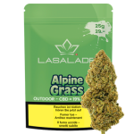 La Salade Alpine Grass CBD Blüten Outdoor