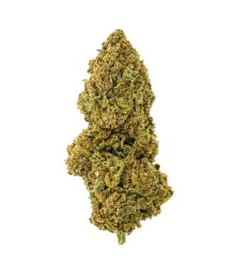 La Salade Alpine Grass CBD Blüten Outdoor – Bild 2