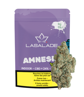 Amnesia Hydro CBD Flowers Indoor - 3g