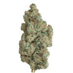 La Salade Amnesia Hydro Fleurs de CBD Indoor – photo 2