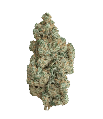 La Salade Amnesia Hydro CBD Flowers Indoor – image 2