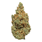 La Salade Blueberry Muffin Minibuds Small CBD Buds Indoor – Bild 2