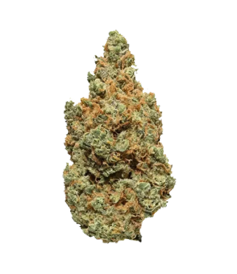 La Salade Blueberry Muffin Minibuds CBD Small Buds Indoor – image 2