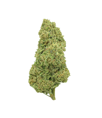 La Salade Double Gum CBD Blüten Greenhouse – Bild 2