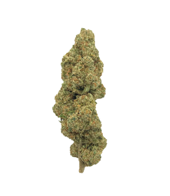 La Salade Gelato Fleurs de CBD Indoor – photo 2