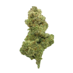 La Salade Moby Dick CBD Flowers Indoor – image 2