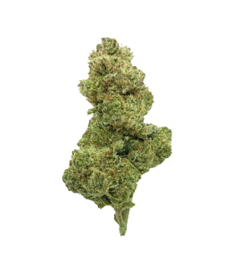La Salade Moby Dick CBD Blüten Indoor – Bild 2