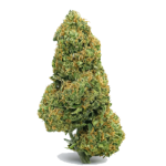 La Salade Strawpicanna CBD Blüten Greenhouse – Bild 2