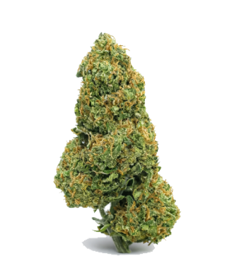 La Salade Strawpicanna Fleurs de CBD Greenhouse – photo 2