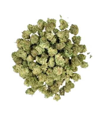 La Salade Swiss Gems Minibuds Small CBD Buds Indoor – Bild 2